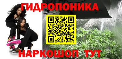 круглые Ставрополь