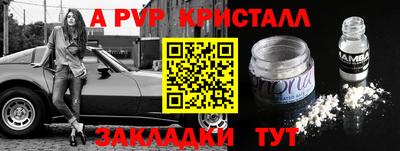 ПСИЛОЦИБИНОВЫЕ ГРИБЫ Тара