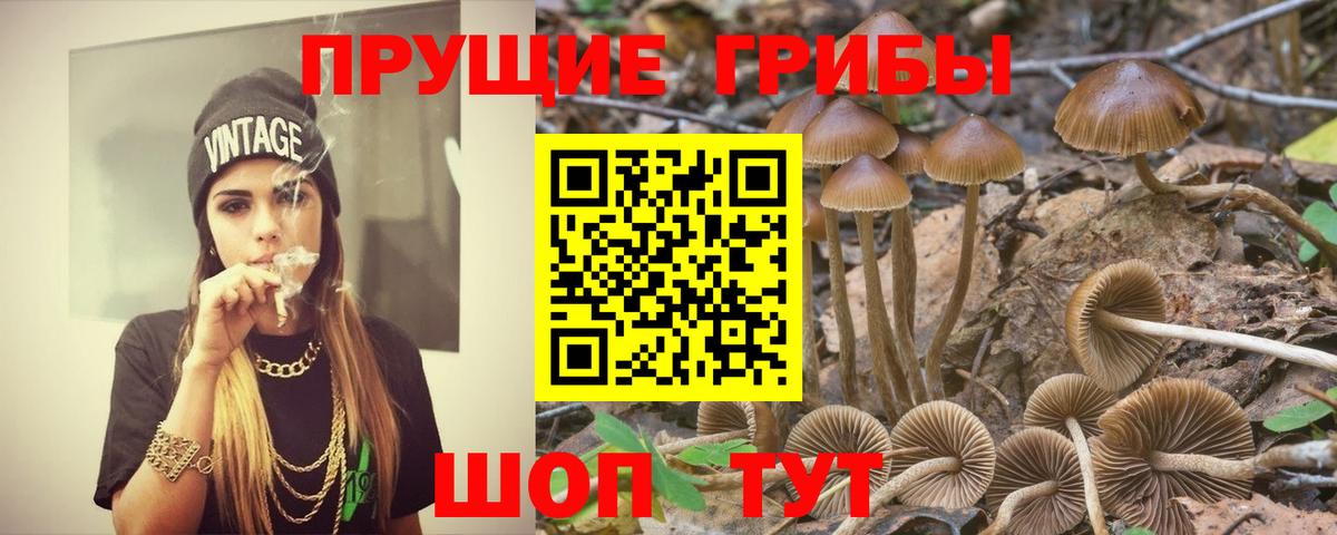 ГАШИШ  Мефедрон  ЭКСТАЗИ  Кодеин  Отрадное  ГАШИШ  Меф кристаллы  Конопля  Вход с VPN  Кокаин 